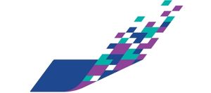 وحدة التحول الرقمي