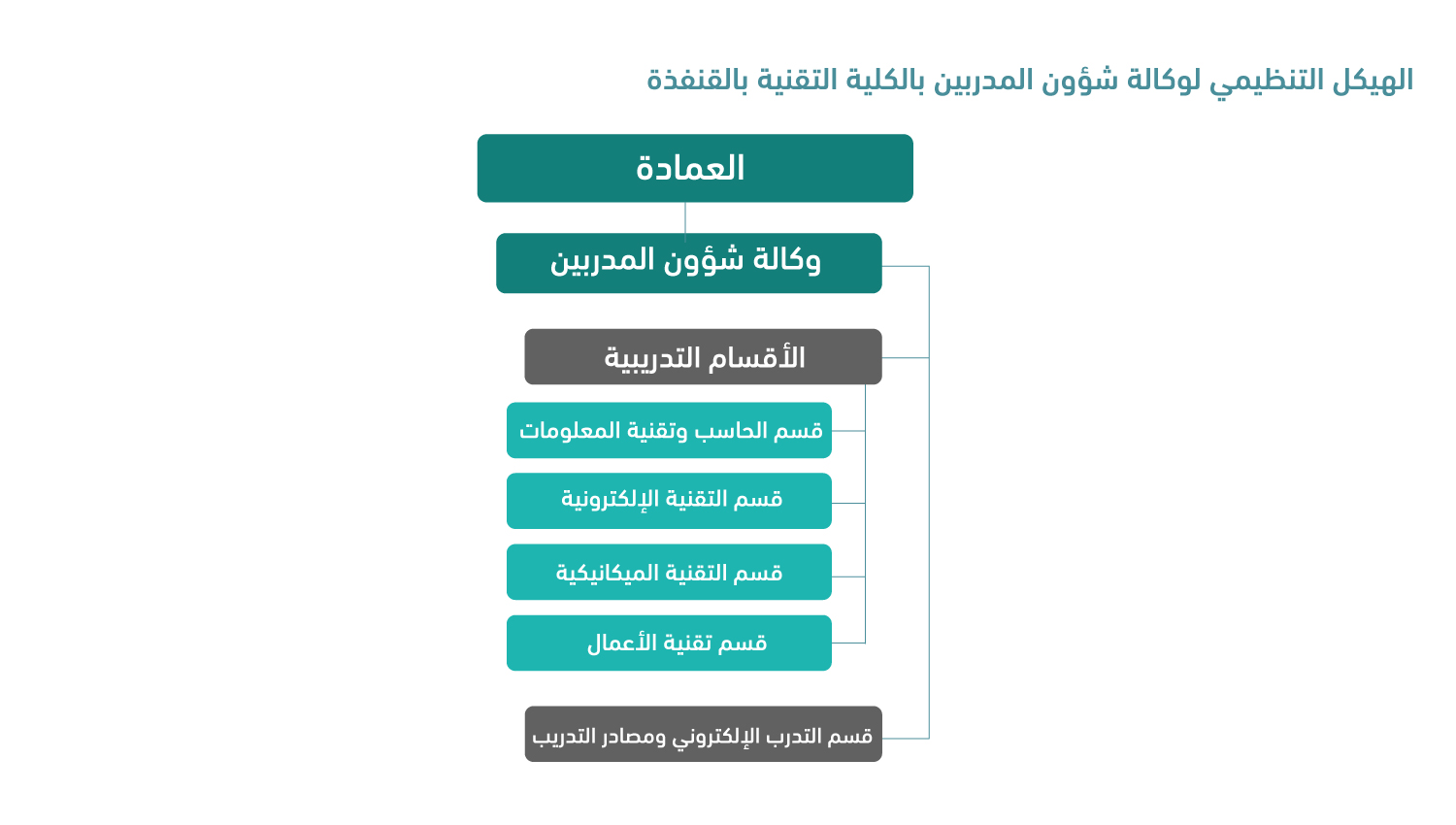 الهيكل-التنظيمي-لوكالة-شؤون-المدربين.jpg